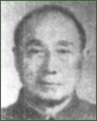 Portrait of Lieutenant-General  Luo Lirong