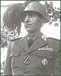 Portrait of Brigadier-General Guido Manardi
