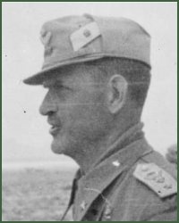 Portrait of Lieutenant-General Alberto Mannerini
