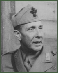 Portrait of Lieutenant-General Luigi Manzi