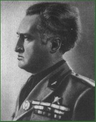 Portrait of Major-General Giovanni Passerone