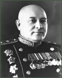 Portrait of Lieutenant-General Aleksandr Dmitrievich Pulko-Dmitriev