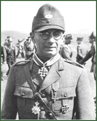 Portrait of Brigadier-General Edgar Rădulescu