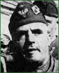 Portrait of Lieutenant-General Mario Robotti