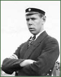 Portrait of Major-General Harald Vilhelm Roos